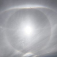 Гало и коршун :: Anna Ivanova