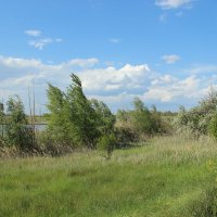 Местные виды. :: Виктор 