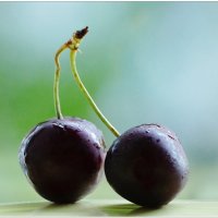 МИНИМАЛИЗМ... :: Elvira E. МИНИМАЛИЗМ... :: Elvira E.