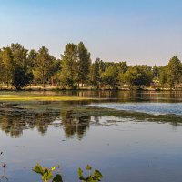 Вид с берега.. :: Юрий Стародубцев