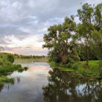 Река Серая :: Денис Бочкарёв