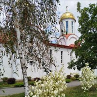 Милый сюжет! :: Надежда Милый сюжет! :: Надежда