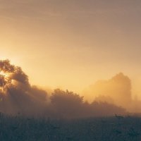 Утро на Покрова на Нерли :: Вячеслав Владимирович Утро на Покрова на Нерли :: Вячеслав Владимирович