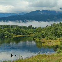 А по-над водою туман расстилается... :: Ирина Коледова