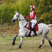 Кросс :: SanSan 