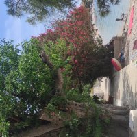 Приморский городок :: Светлана Баталий