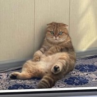 Жарко!!! :: Ольга Довженко Жарко!!! :: Ольга Довженко