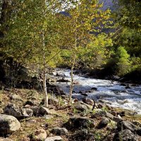 ПО НИЗАМ. :: Виктор Осипчук ПО НИЗАМ. :: Виктор Осипчук