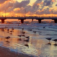 На закате :: Юрий. Шмаков На закате :: Юрий. Шмаков