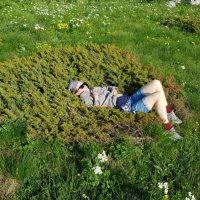 ЛАГОНАКИ :: Tata Wolf ЛАГОНАКИ :: Tata Wolf