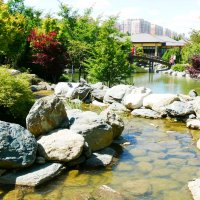 Иногда выплывают "НЕБОскрёБЫ", но мостик симпатичнее . :: Alexey YakovLev Иногда выплывают "НЕБОскрёБЫ", но мостик симпатичнее . :: Alexey YakovLev