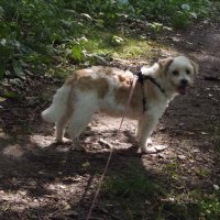 На прогулке... :: Freddy 97