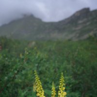 * :: Александр Иванов