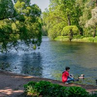 ЦПКО "Елагин остров" :: Сергей Шатохин 