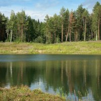 Зеленоглазое лето :: Нэля Лысенко