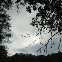 Накануне моих 70-ти :: Андрей Лукьянов