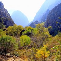 ПО НИЗАМ. :: Виктор Осипчук