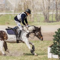 Кросс :: SanSan 