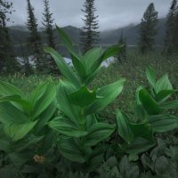 * :: Александр Иванов * :: Александр Иванов