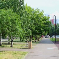 Мой Красноярск :: Василий 