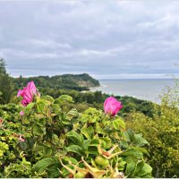 ********** :: Валерия Комова