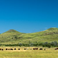 Окрестности :: Игорь Сикорский