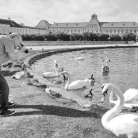 " Фотомодели..." :: Елена Пономарева " Фотомодели..." :: Елена Пономарева