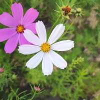 ,,, :: Сергей Тимоновский