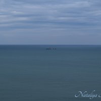 Природа Крыма :: Amazing Cosmea