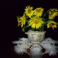 Подсолнухи :: Надежда Куркина 