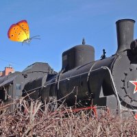 Бабочка   и  паровоз :: Фотогруппа Весна