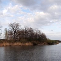 Апрельский пейзаж :: Антонина Гугаева