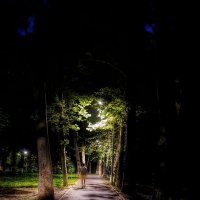 Вглубь таинственных аллей :: Renkse L.J.