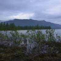 *** :: Александр Хаецкий