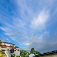 Утро :: **** vedin Утро :: **** vedin