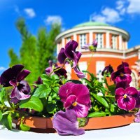 Царицино :: Наталья 