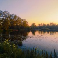 Летний вечер на пруду :: Сергей Кочнев