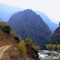 ПО НИЗАМ. :: Виктор Осипчук