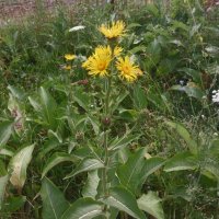 Talgar. :: Murat Bukaev 