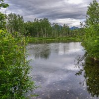 ...... :: Жора Житников