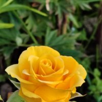 )) :: Андрей )) :: Андрей