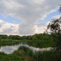 Усманка  Воронеж прекрасная окраина :: Елена Шаламова