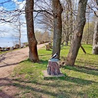 Пустая кормушка, безобразие какое! :: Лия ☼ Пустая кормушка, безобразие какое! :: Лия ☼