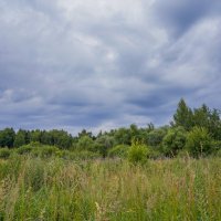 В поле... :: Владимир Жданов В поле... :: Владимир Жданов