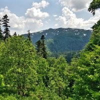 СЕВЕРНЫЙ КАВКАЗ :: Tata Wolf