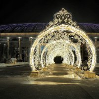 Лужники. :: Евгений Седов