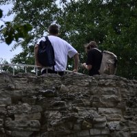 Мужской разговор. :: Наталья Вязигина