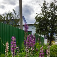 *** :: Дмитрий Костоусов *** :: Дмитрий Костоусов