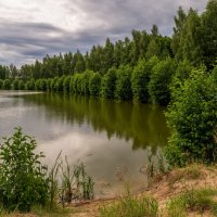 Рыбное место :: Андрей Дворников