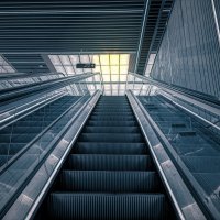 К свету :: Serg _